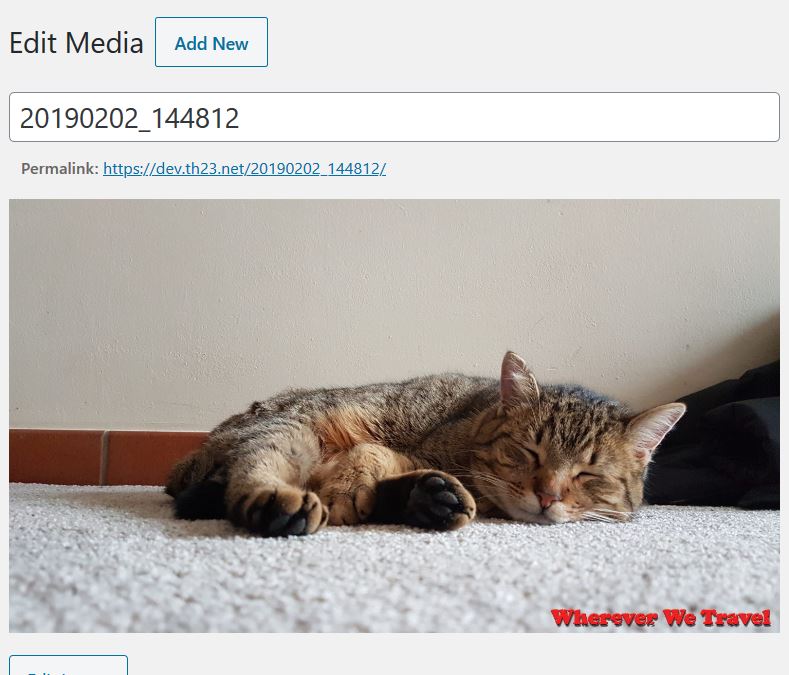 Watermarked image (bottom right corner)