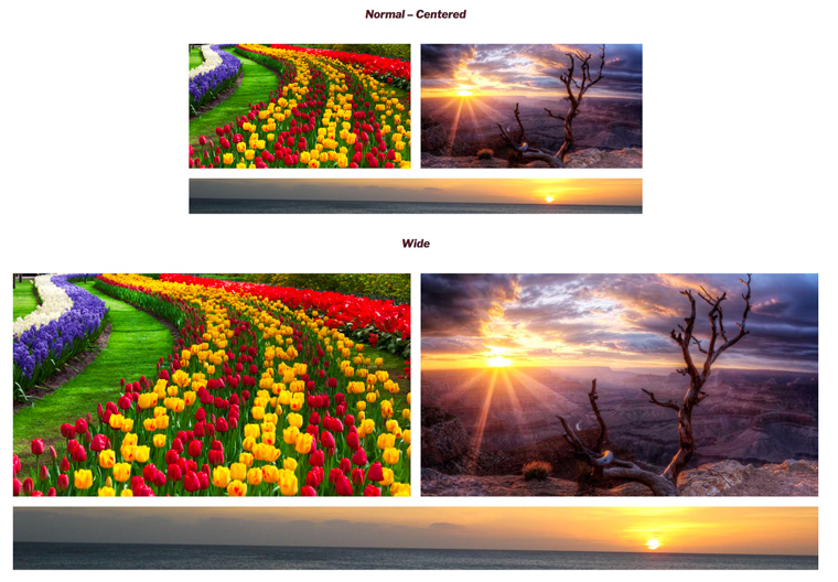 WITH THEME SUPPORT FOR GUTENBERG (Twenty-Seventeen) - Normal and Wide Width Alignment looking good!