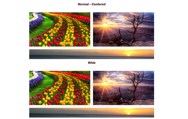 NO THEME SUPPORT FOR GUTENBERG (Twenty-Seventeen) - Normal and Wide Width Alignment are the same.