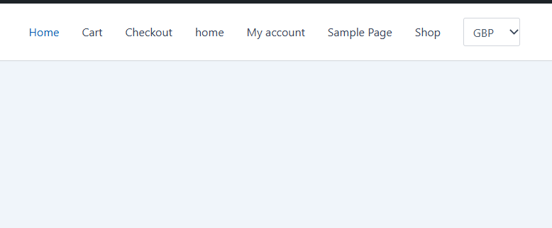 Frontend Display
