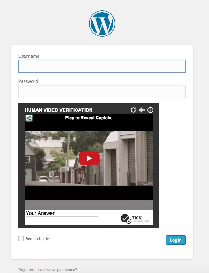 Login Form