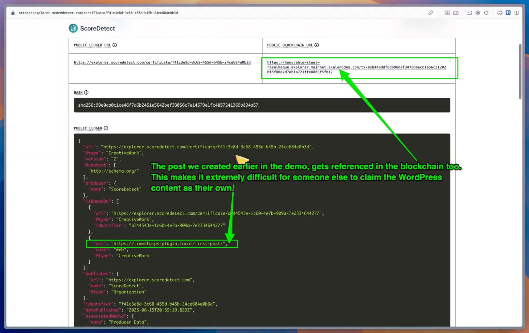 The blockchain information. Everything here is what is found in the Timestamp certificate.
