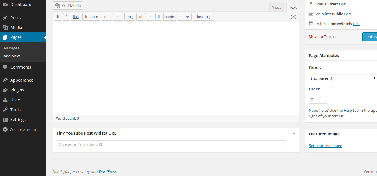 YouTube URL meta box assigned to page.