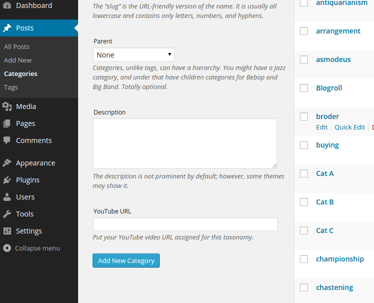 YouTube URL meta box assigned to post category.