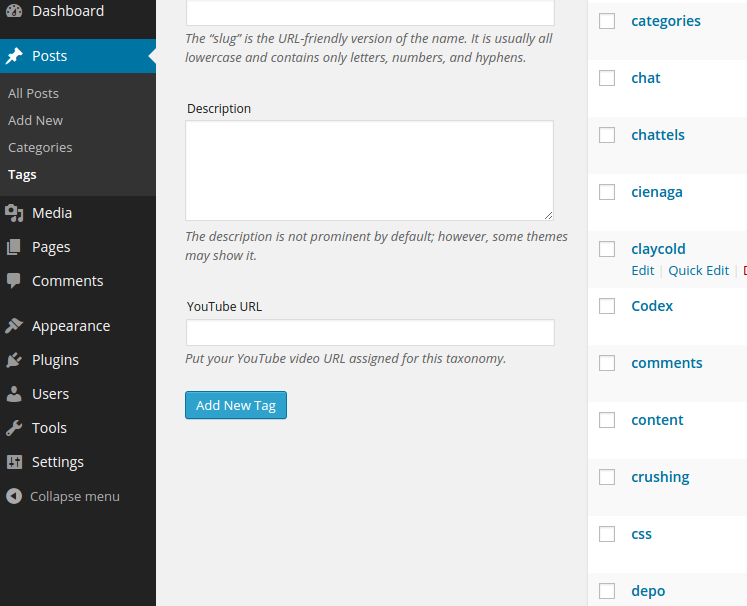 YouTube URL meta box assigned to post tags.