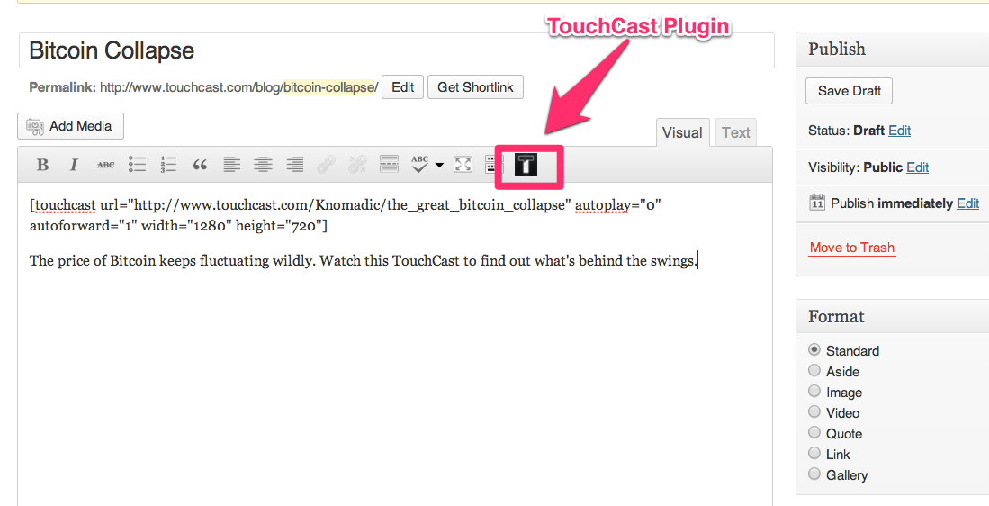 After the plugin is installed, you should see a TouchCast icon listed in toolbar of the WP Post interface.