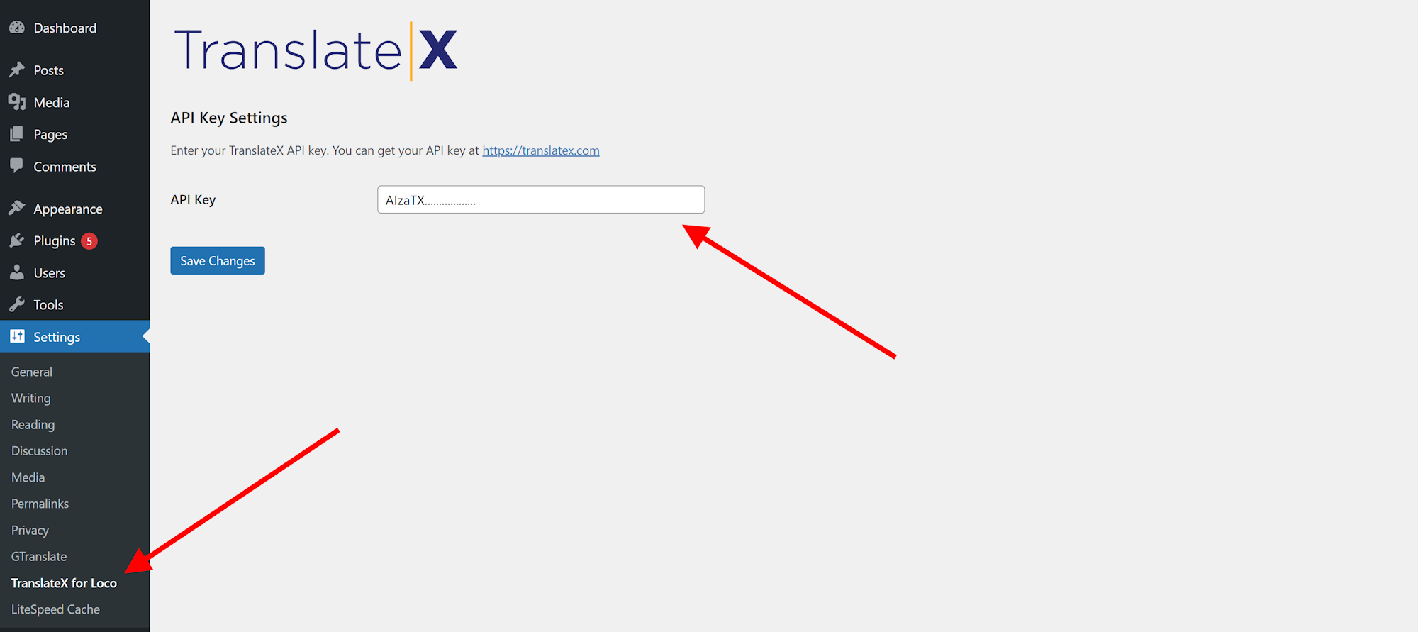 Plugin settings