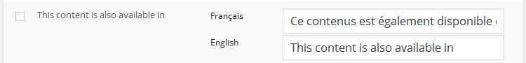 Polylang settings to translate text