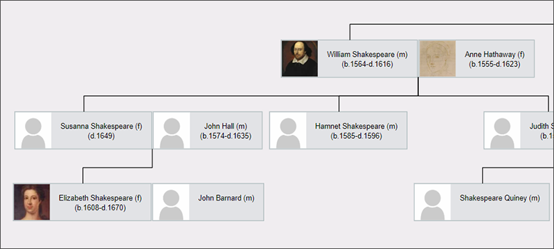 Sample Ancestor profile