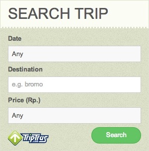 Default appearance of TripTrus Search Widget