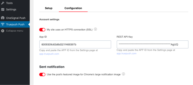 Main configuration setup page.