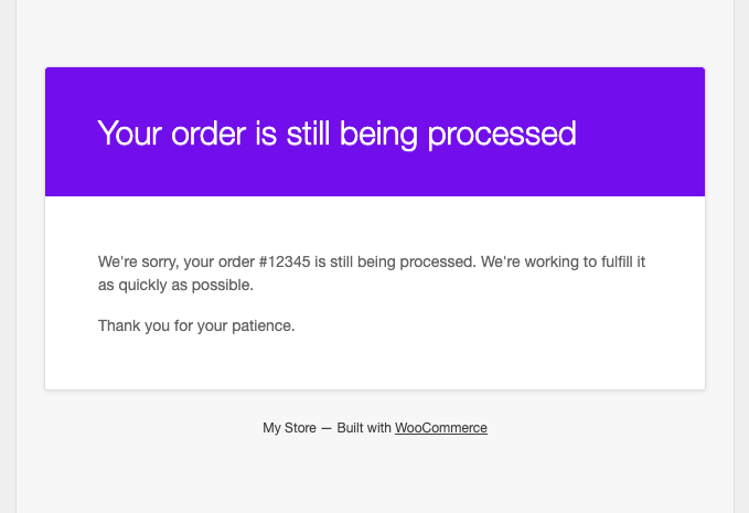 Example of the delayed processing notice email received by the customer.