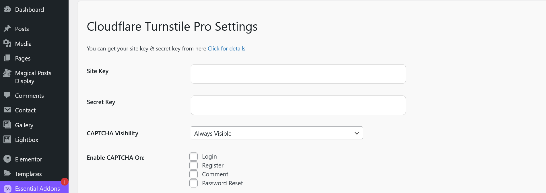CAPTCHA on Login Form