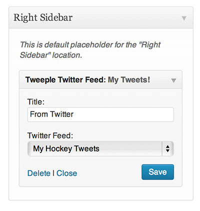 Use the "Tweeple Twitter Feed" widget to display tweets in one of your widget areas.