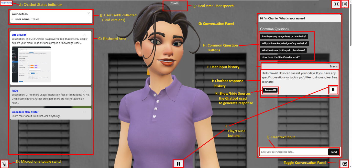Chatbot in action - Talking Avatar Expanded with Conversation Panel and Flashcards