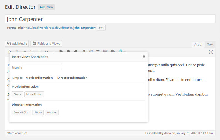 Custom fields on the post editing page