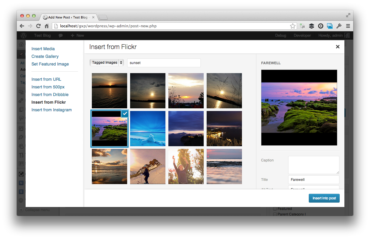 Inserting tagged images from Flickr