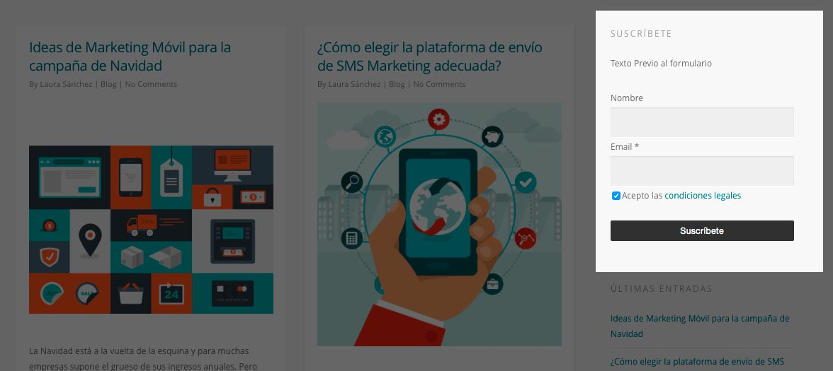 Así se ve el formulario incrustado en su web