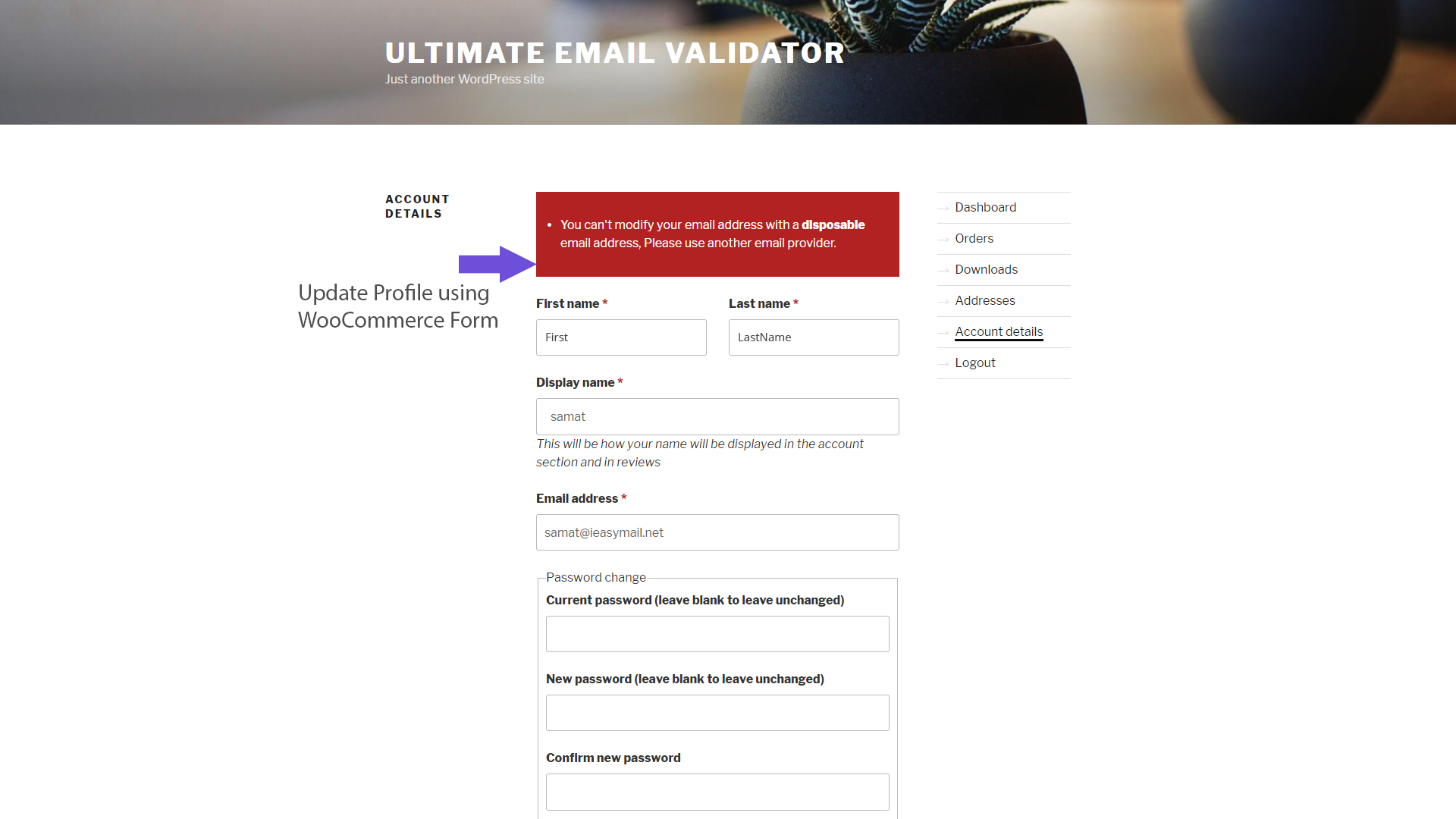 Quick Email Verification Statistics