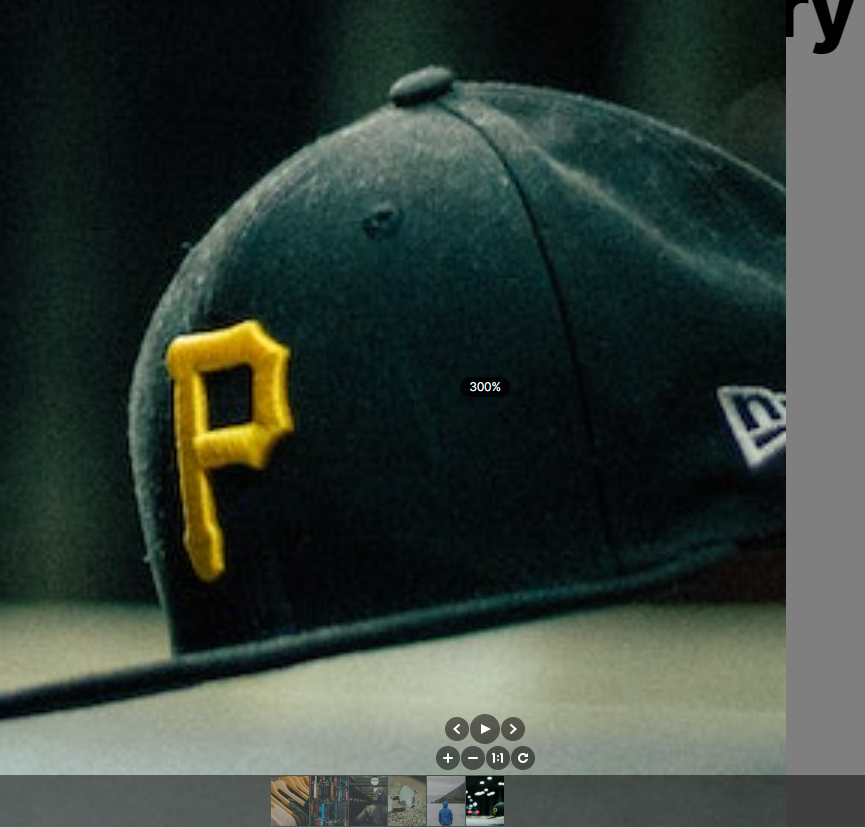 Zoom Feature