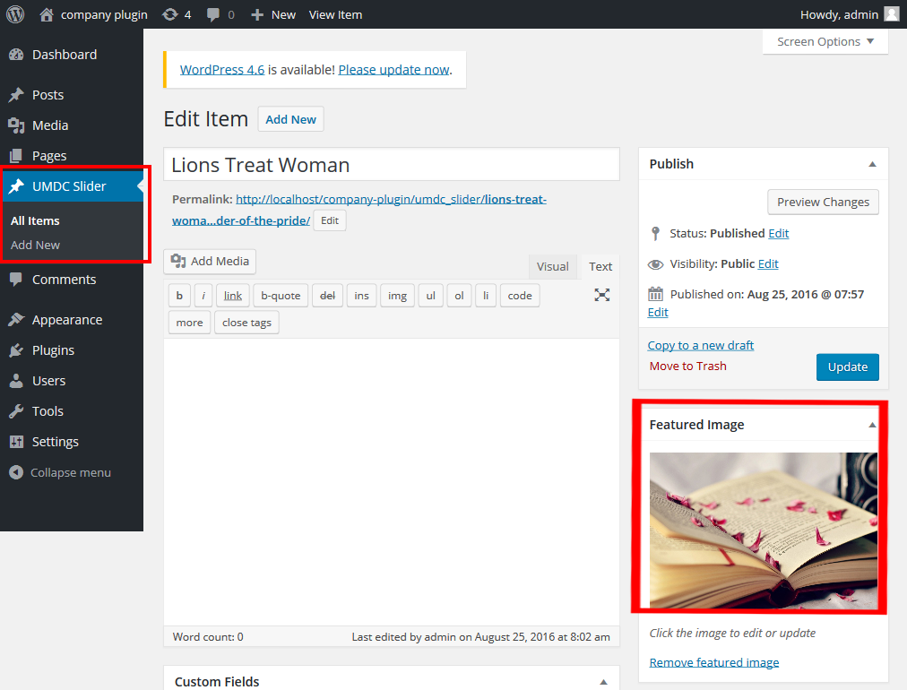 User can also set the featured image for the posts.