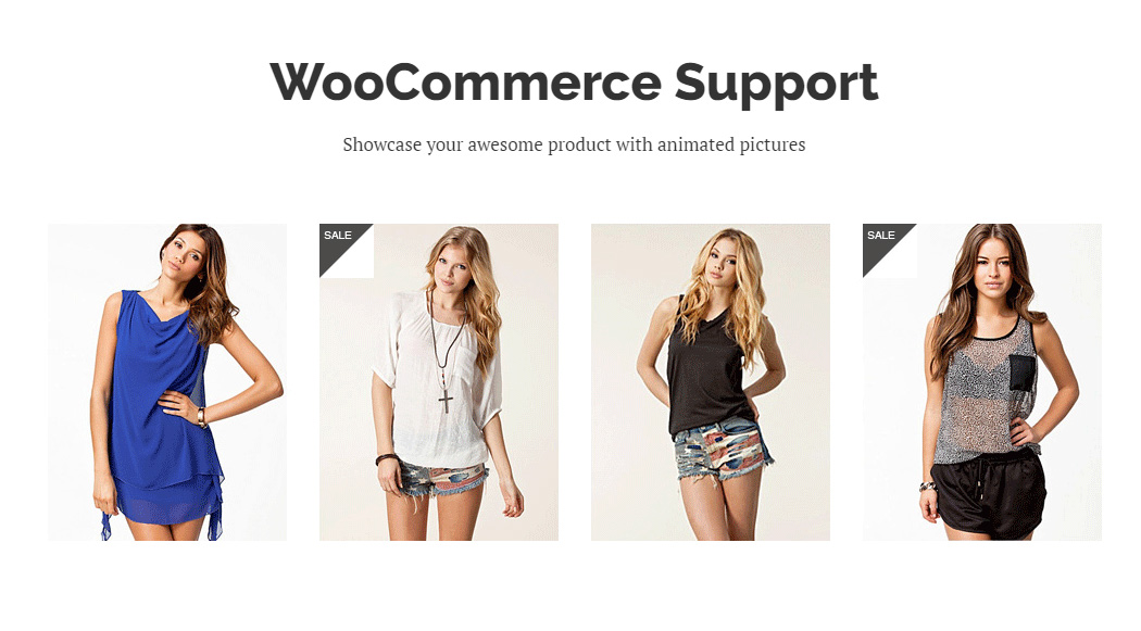 WooCommerce support