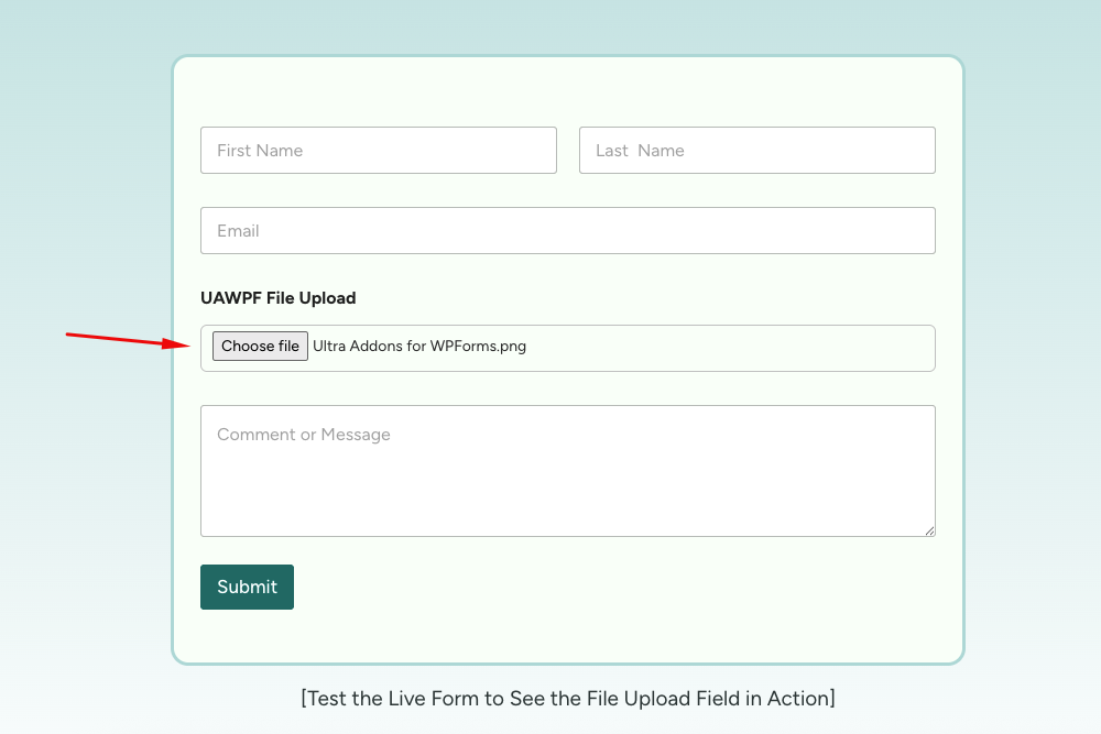 File Upload Field Example