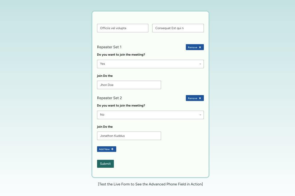 Repeater Field in Action