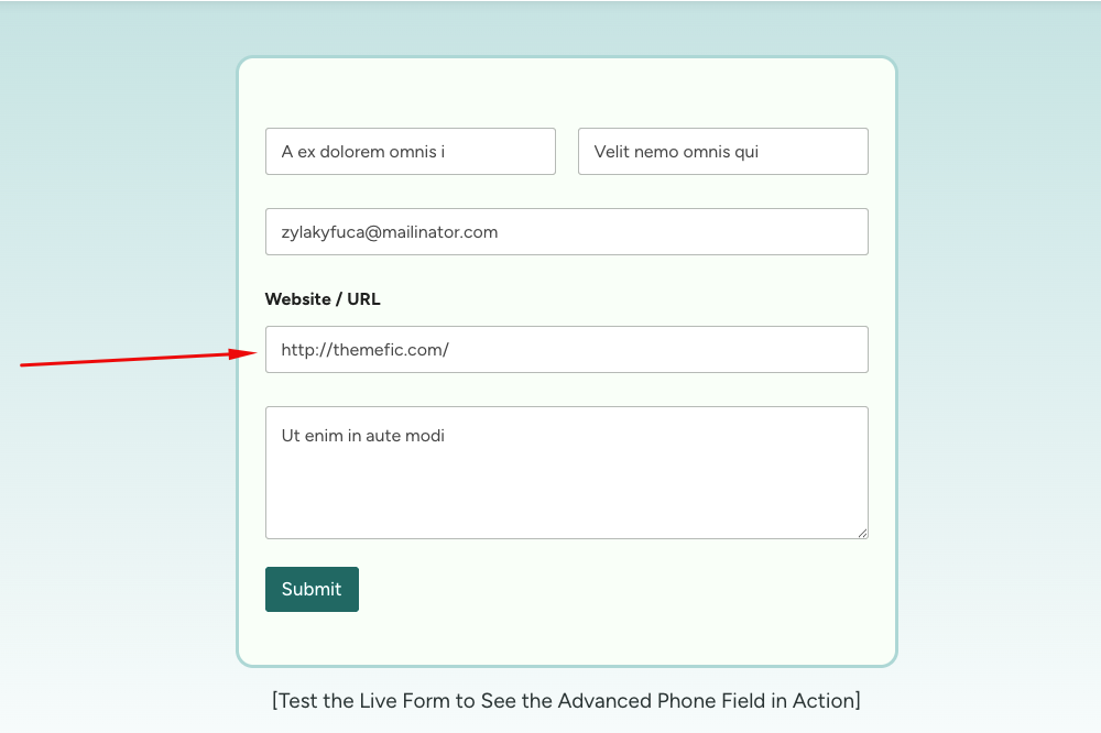 Website URL Field Preview