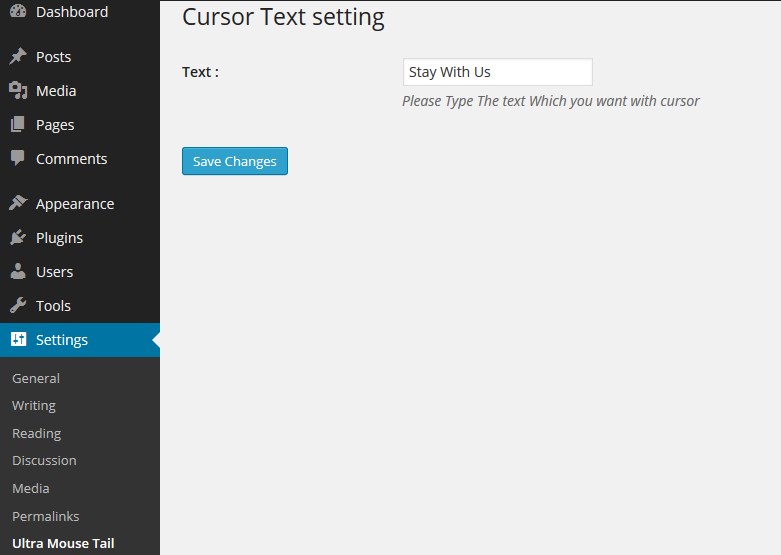 Cursor Text Setting Menu.