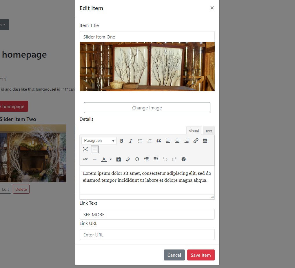 Edit individual Items with TinyMCE