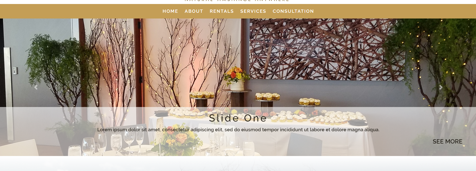 An implemented carousel on the frontend using the "basic" style
