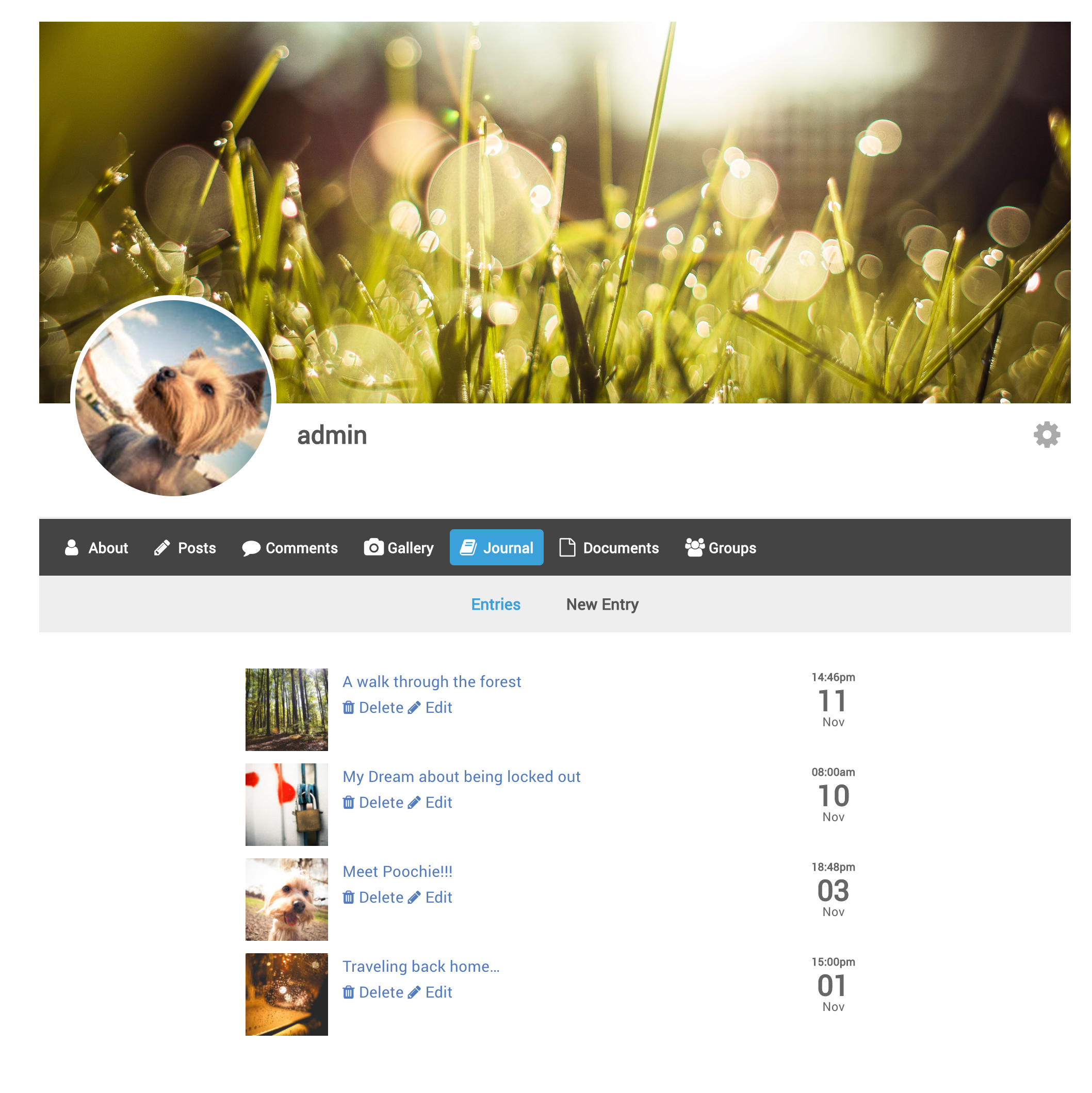 List View