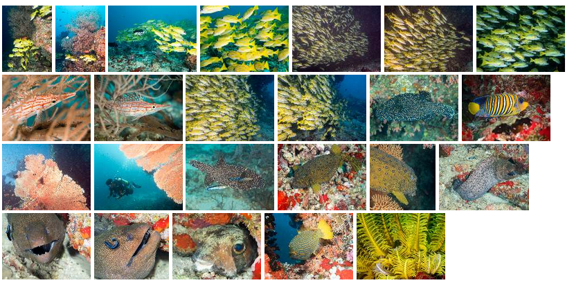 A sample gallery without featured images
