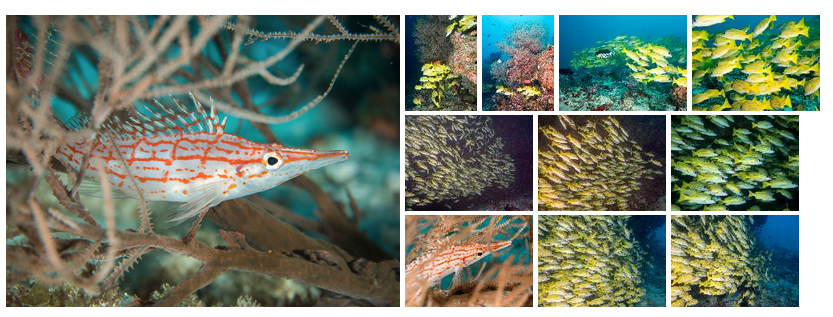 A sample gallery with featured images