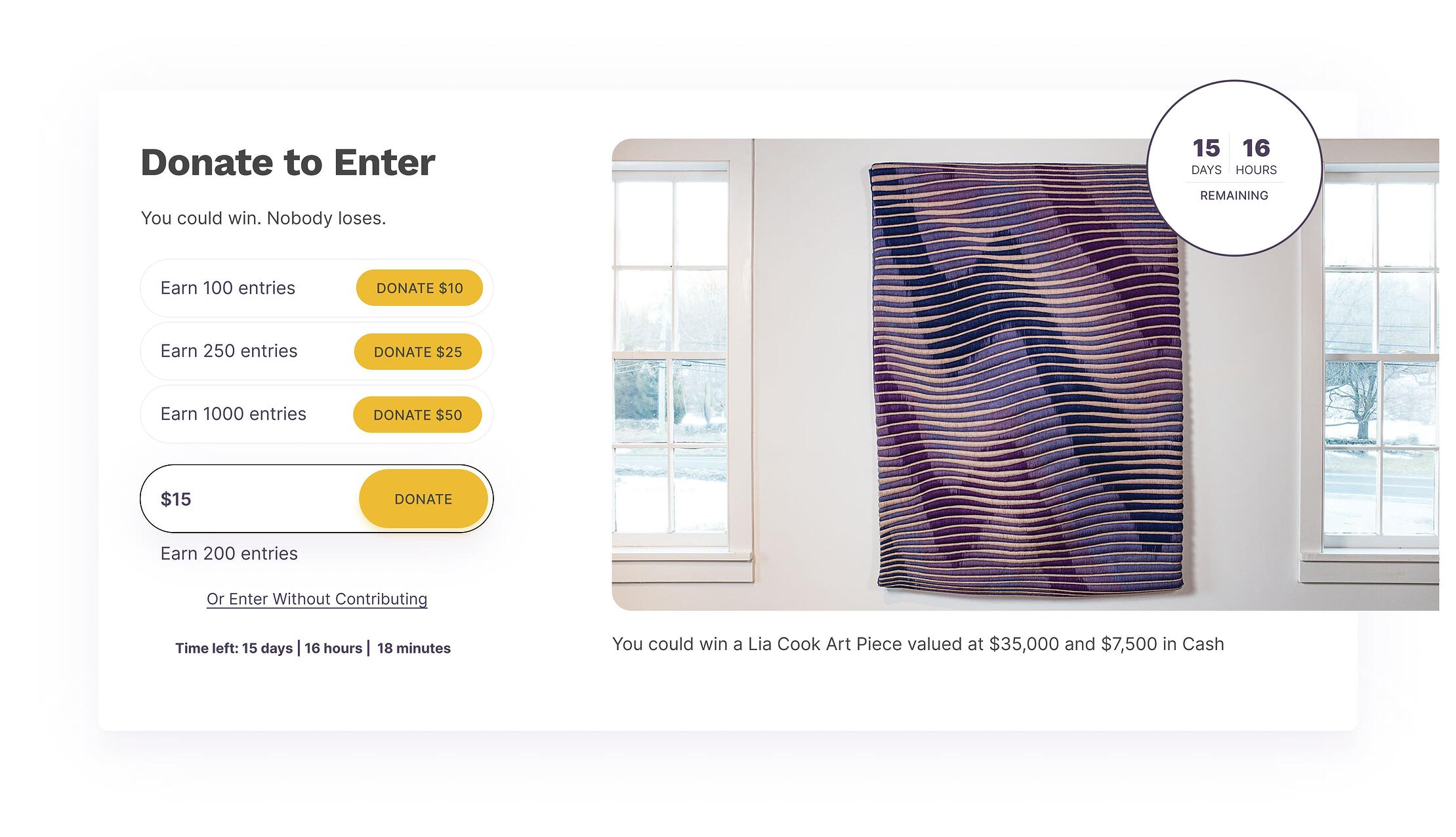 Sweepstakes - Promote your mission and raise critical funds while partnering with UncommonGood for execution.
