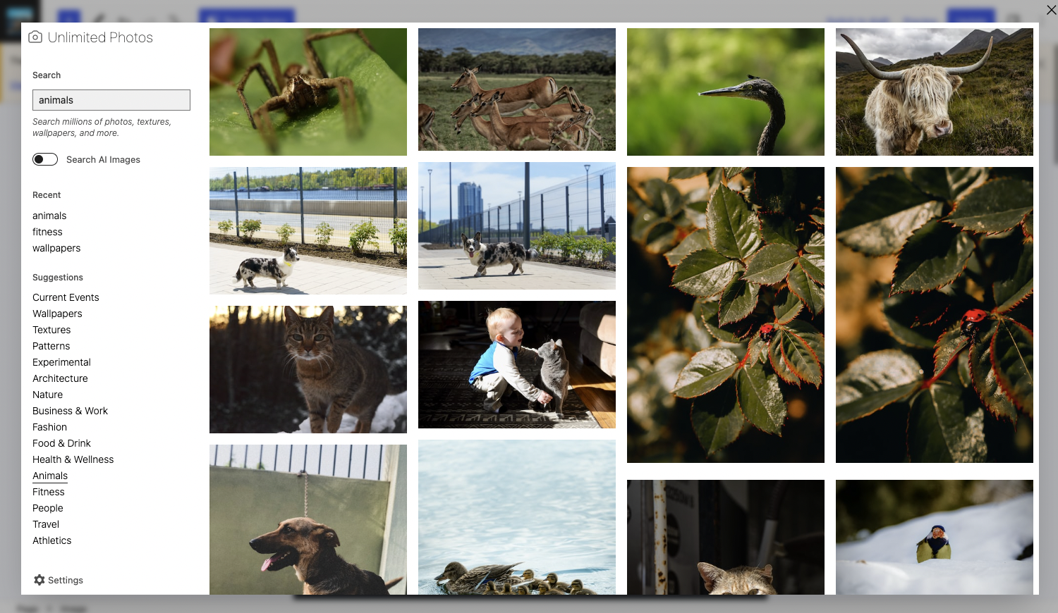 A search for animal stock images