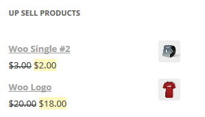 Front view of the Up Sell Products Display For Woocommerce plugin