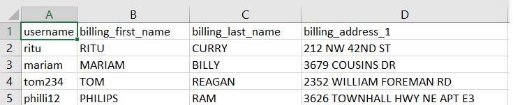 File Format for making CSV/TXT