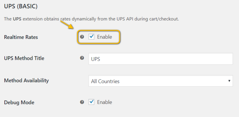 Plugin Basic Settings