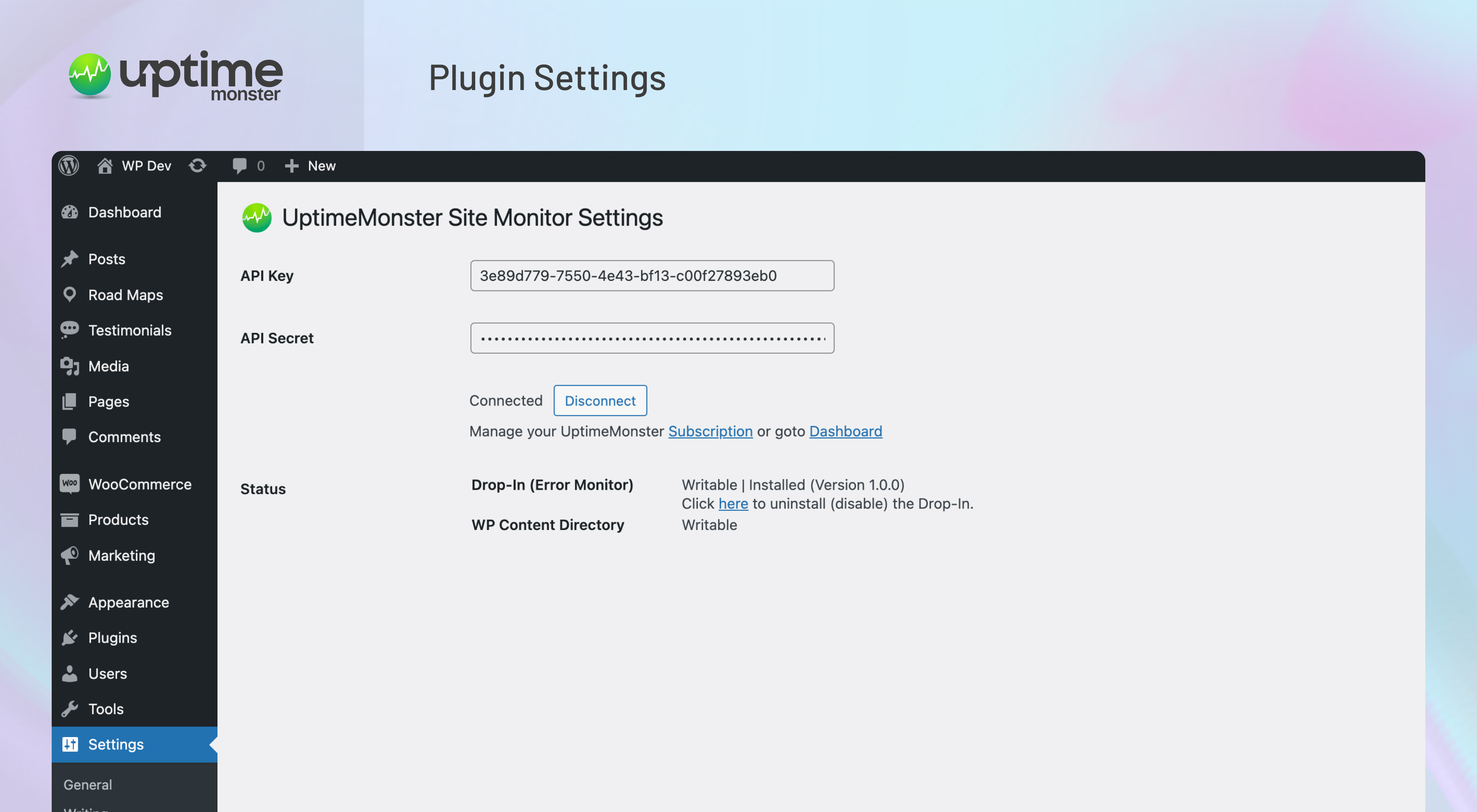 Plugin Settings