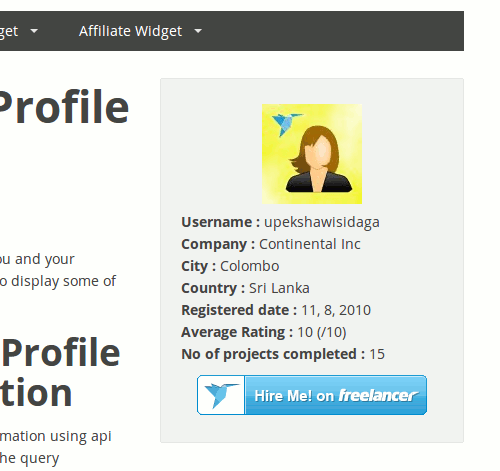 Freelancer Profile Widget