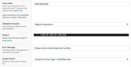 Example configuration for input masking and regular expression checking of a telephone number field.