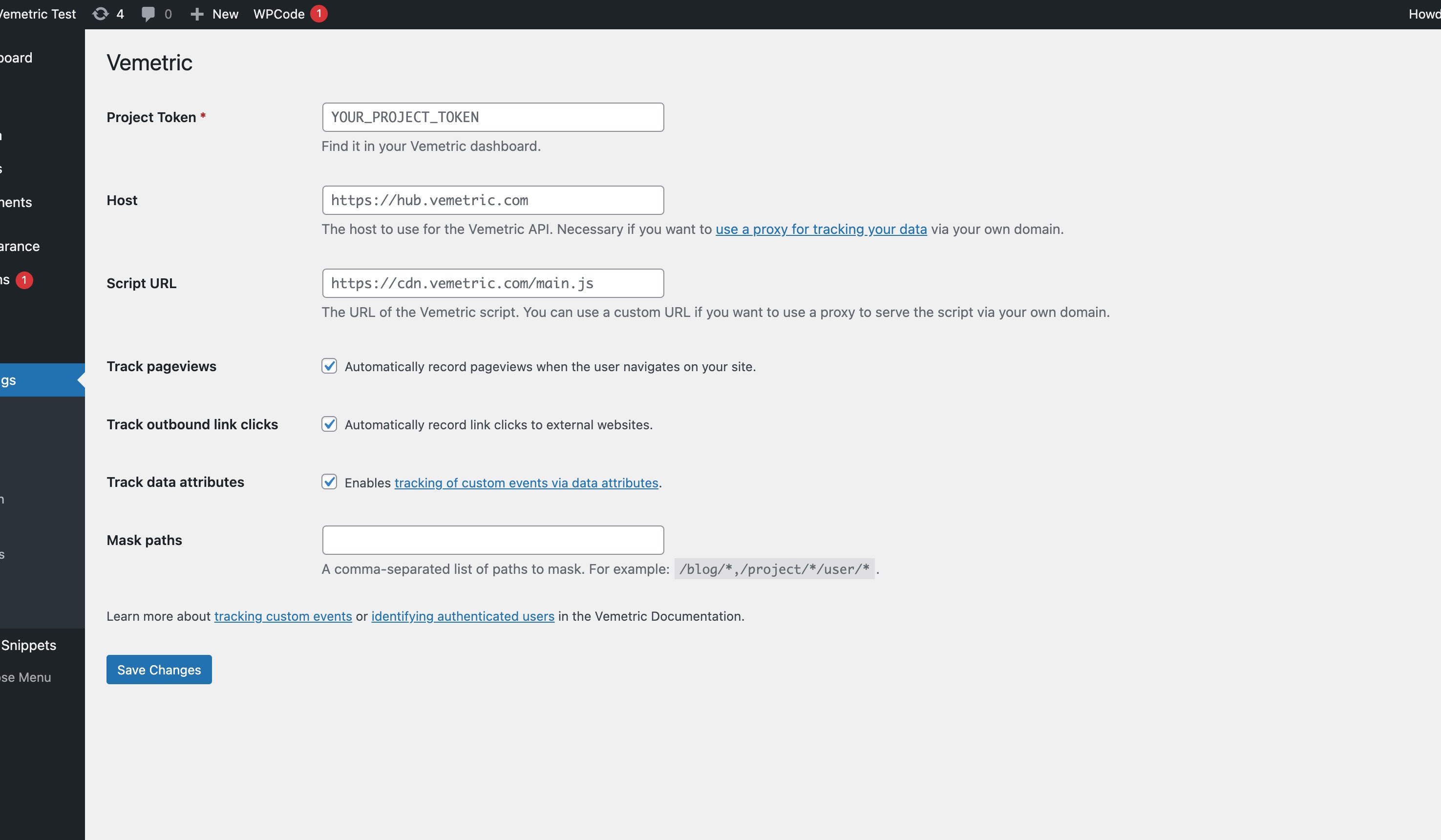 Vemetric WordPress Plugin Settings