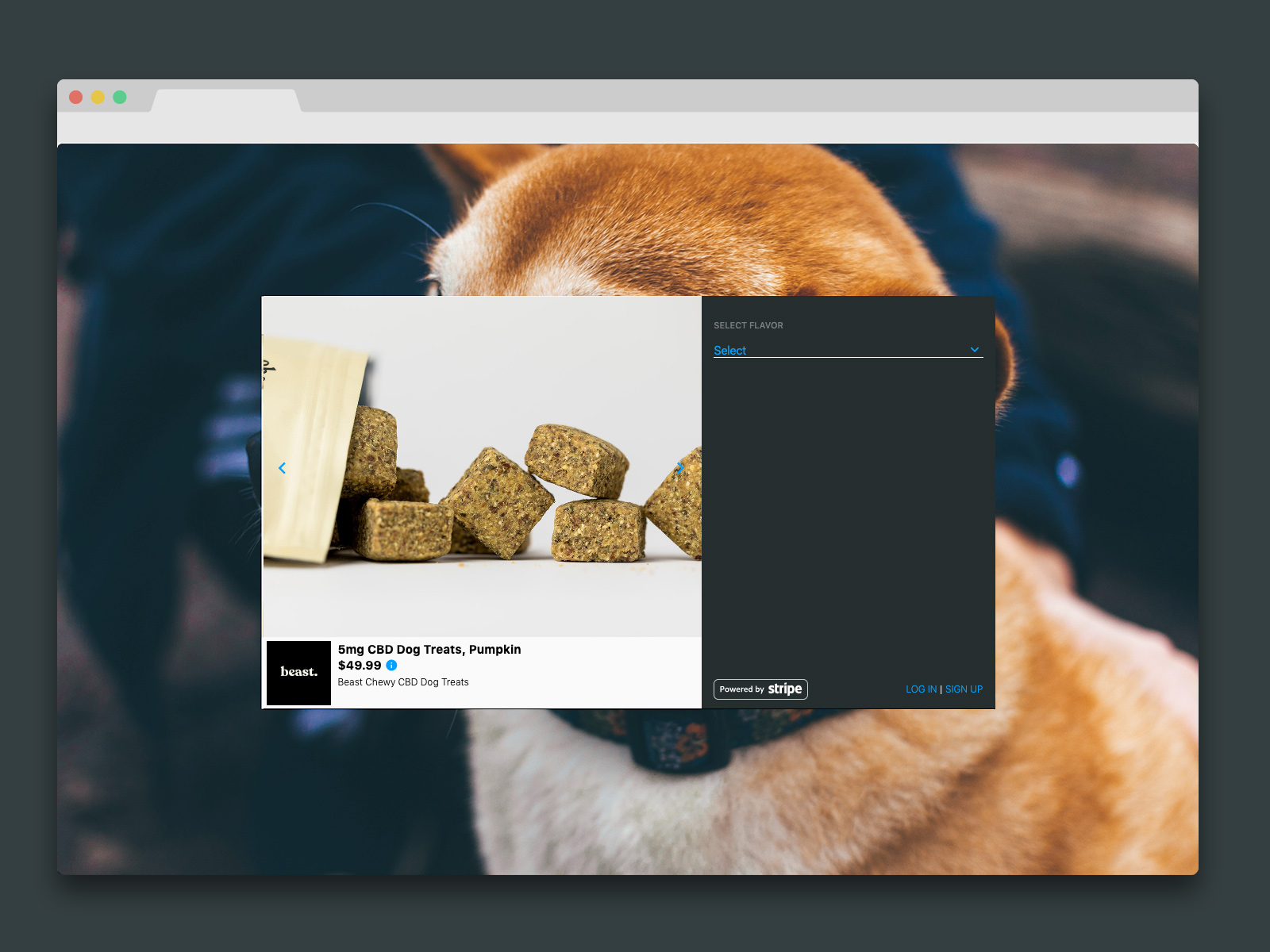 Get a dedicated Venby URL with each new campaign.