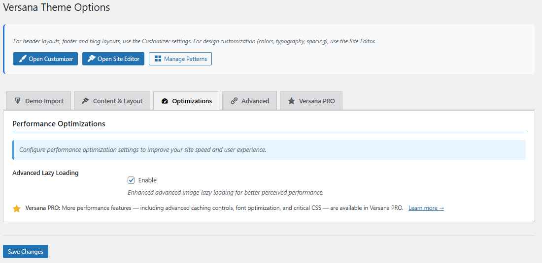 **Customizer Settings:** Configure header and footer options visually.