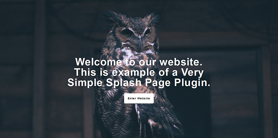 Very Simple Splash Page Demo 4.