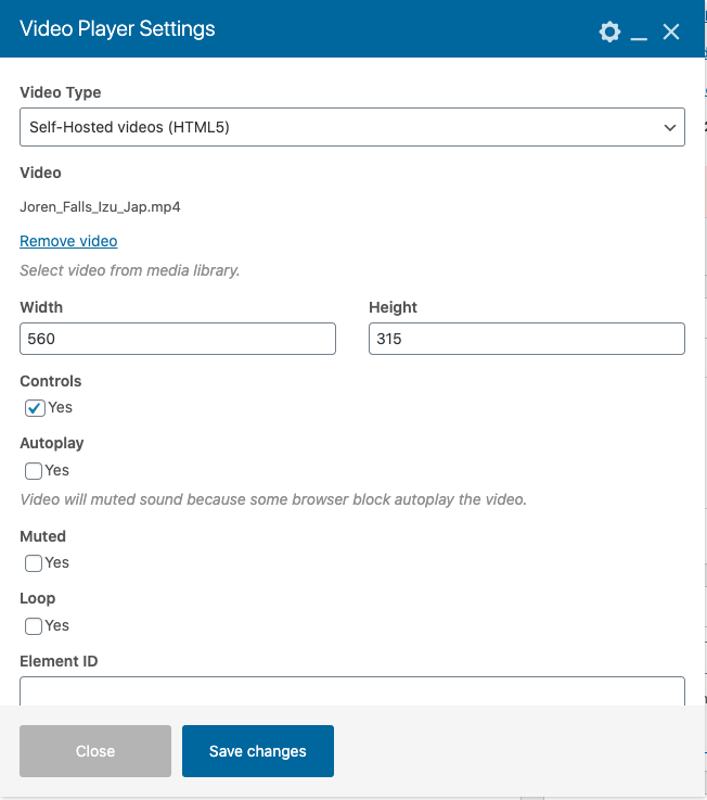 Video Player element setting for Self-Hosted videos