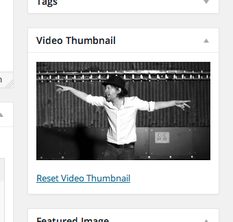 The Video Thumbnail meta box on the Edit Post page