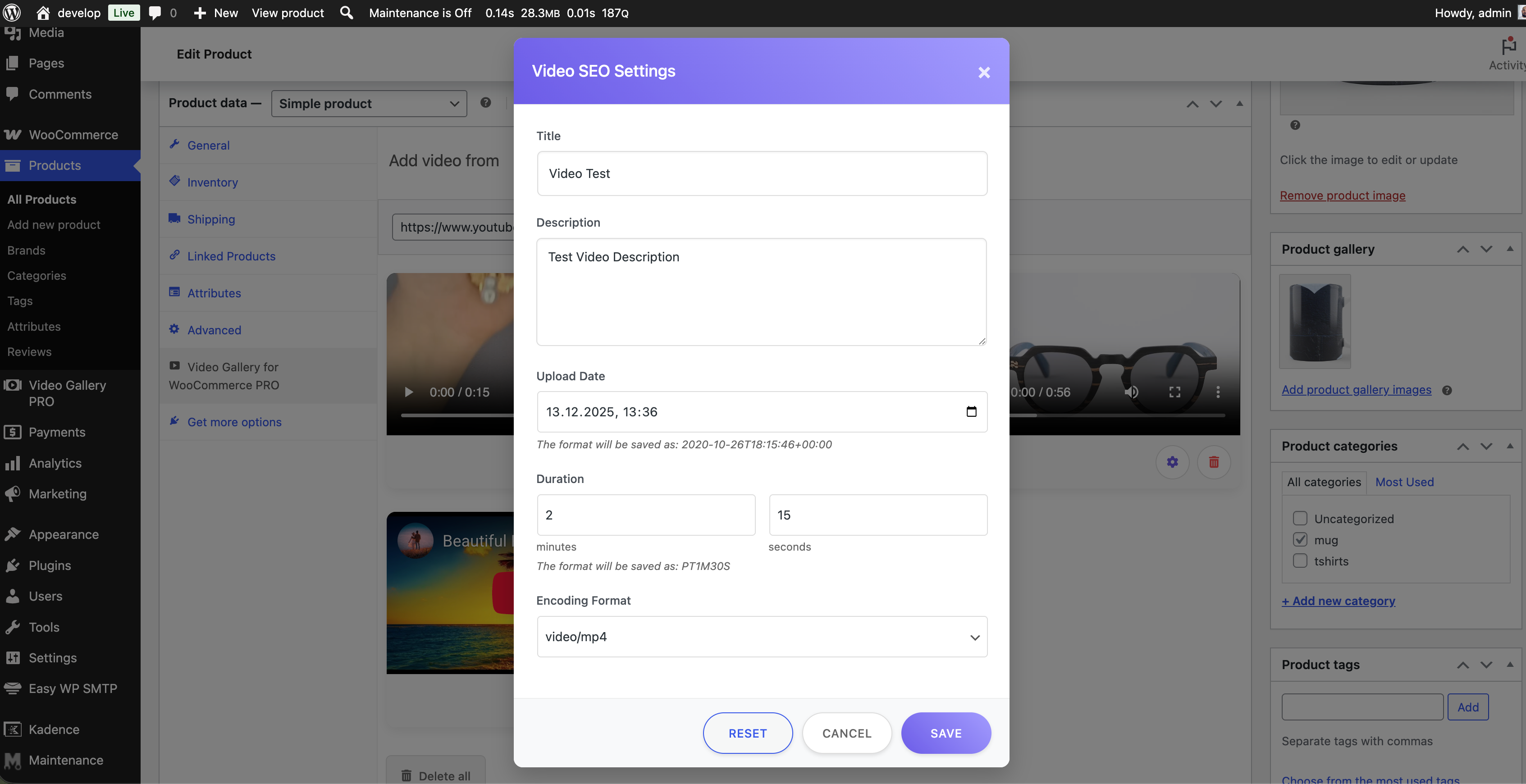 PRO - Video SEO settings